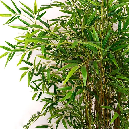 Lejlighed Premium Flat Las Canteras (Valencia)