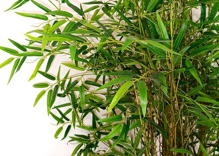 דירה Premium Flat Las Canteras (Valencia)